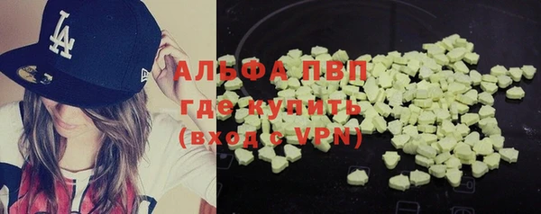 твердый Новодвинск