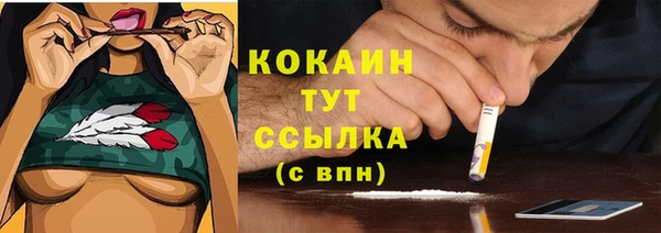 spice Баксан