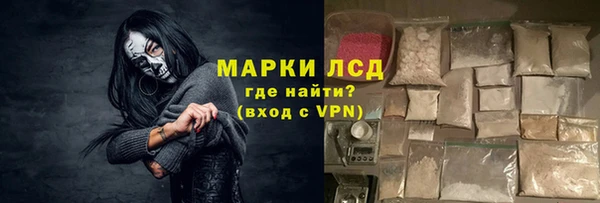 твердый Новодвинск