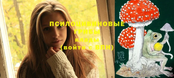 spice Баксан