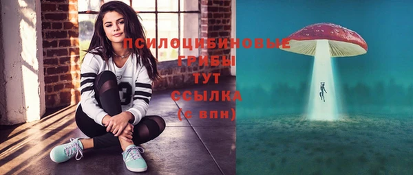 spice Баксан