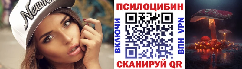 Псилоцибиновые грибы Psilocybine cubensis  Унеча 